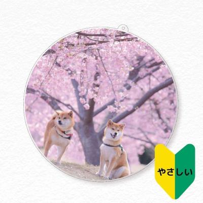 ジャンボアクリルキーホルダー(2パターン〇□)